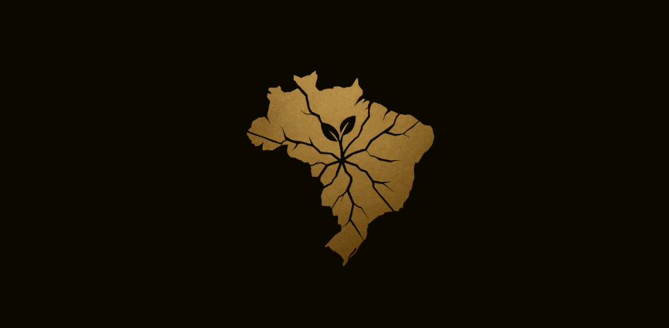 Mapa do Brasil em dourado, estilizado como vidro rachado, com uma pequena planta dourada brotando no centro, simbolizando crescimento e antifragilidade.